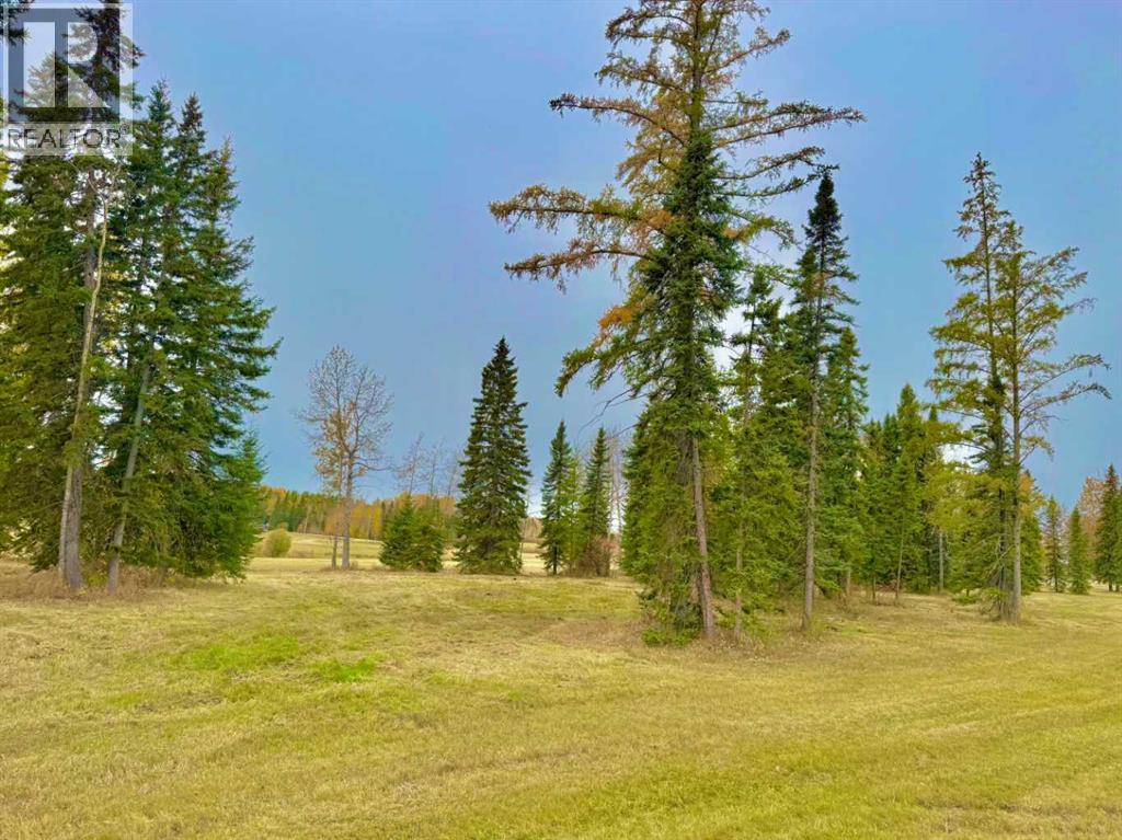 409 Valley View Close, Rural Clearwater County, Alberta  T4T 1A7 - Photo 12 - A2264703