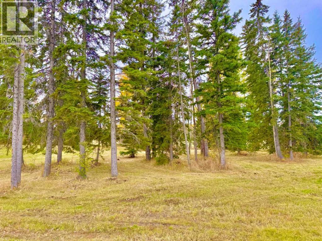 409 Valley View Close, Rural Clearwater County, Alberta  T4T 1A7 - Photo 13 - A2264703