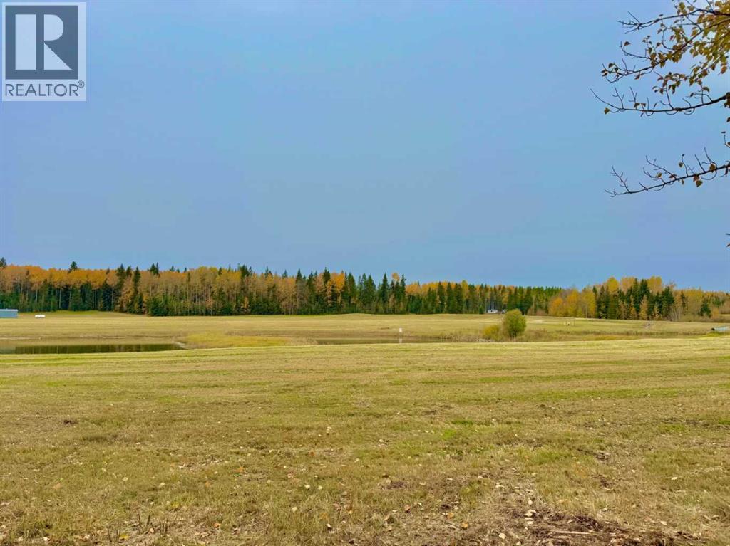 409 Valley View Close, Rural Clearwater County, Alberta  T4T 1A7 - Photo 3 - A2264703