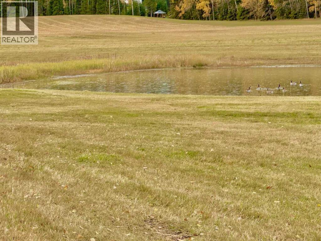 409 Valley View Close, Rural Clearwater County, Alberta  T4T 1A7 - Photo 6 - A2264703