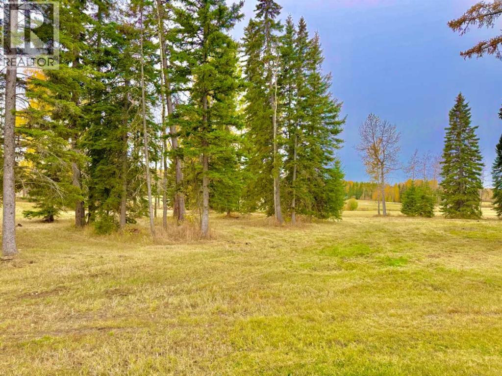 409 Valley View Close, Rural Clearwater County, Alberta  T4T 1A7 - Photo 14 - A2264703