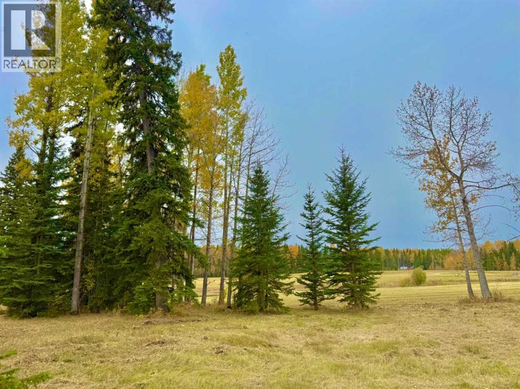 409 Valley View Close, Rural Clearwater County, Alberta  T4T 1A7 - Photo 9 - A2264703