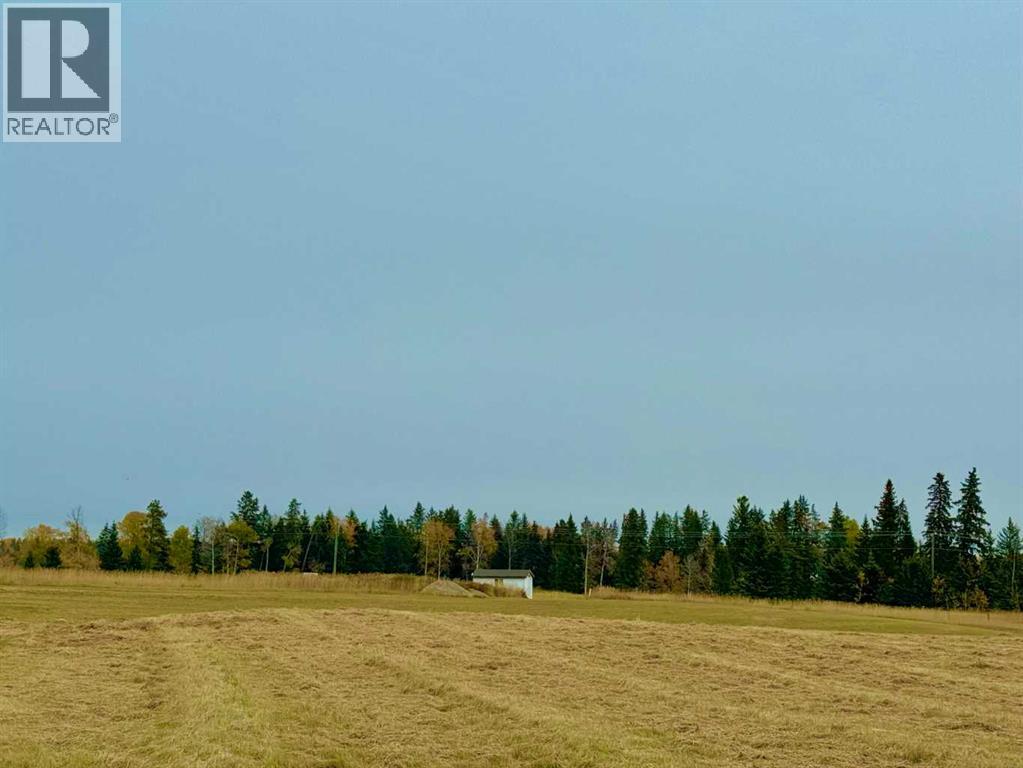 420 Valley View Close, Rural Clearwater County, Alberta  T4T 1A7 - Photo 3 - A2264704