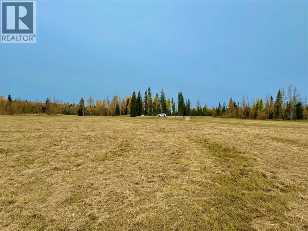 420 Valley View Close, Rural Clearwater County, Alberta  T4T 1A7 - Photo 1 - A2264704