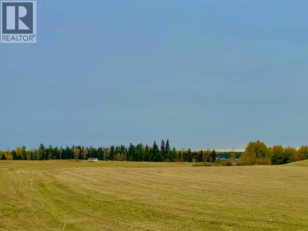 420 Valley View Close, Rural Clearwater County, Alberta  T4T 1A7 - Photo 6 - A2264704