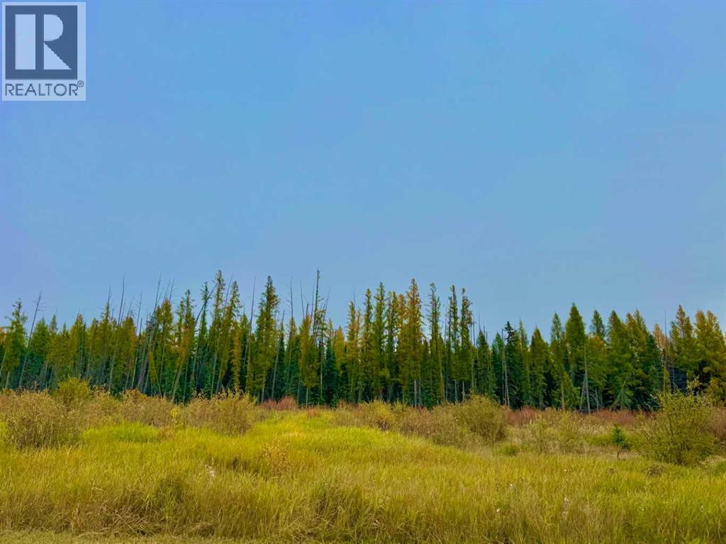 408 Valley View Close, Rural Clearwater County, Alberta  T4T 1A7 - Photo 6 - A2264706