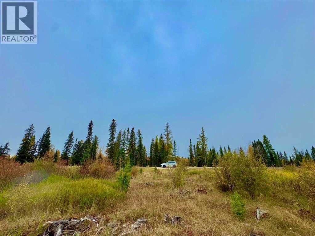 408 Valley View Close, Rural Clearwater County, Alberta  T4T 1A7 - Photo 1 - A2264706