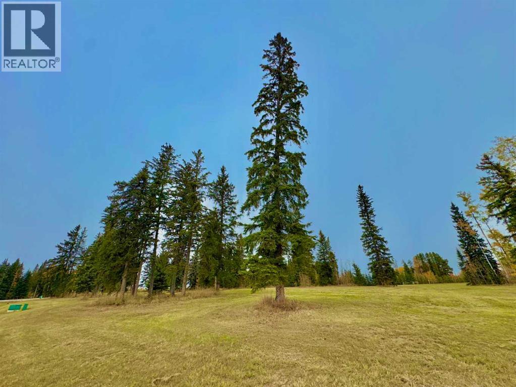 316 Valley View Drive, Rural Clearwater County, Alberta  T4T 1A7 - Photo 5 - A2264707