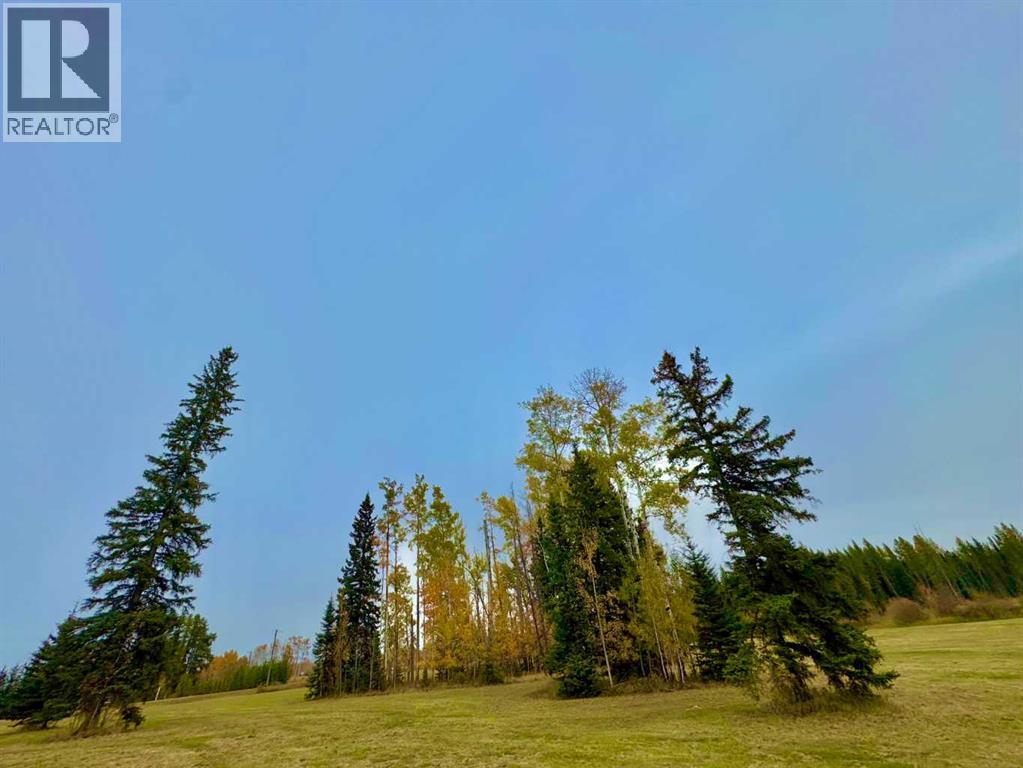 316 Valley View Drive, Rural Clearwater County, Alberta  T4T 1A7 - Photo 3 - A2264707