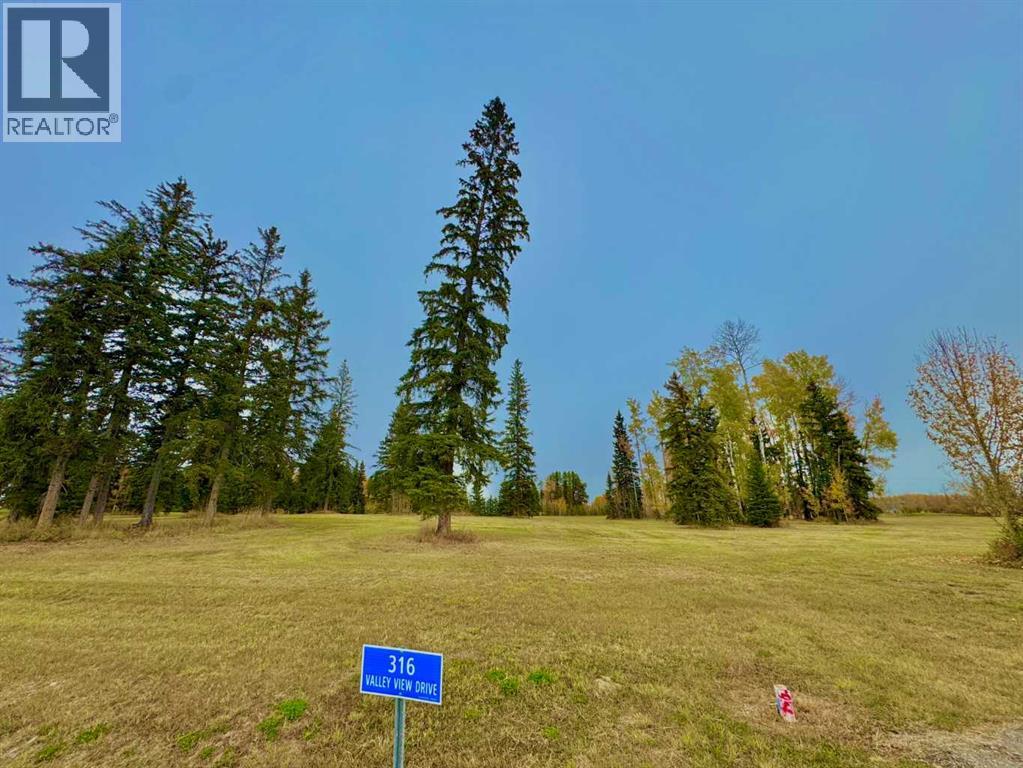 316 Valley View Drive, Rural Clearwater County, Alberta  T4T 1A7 - Photo 8 - A2264707