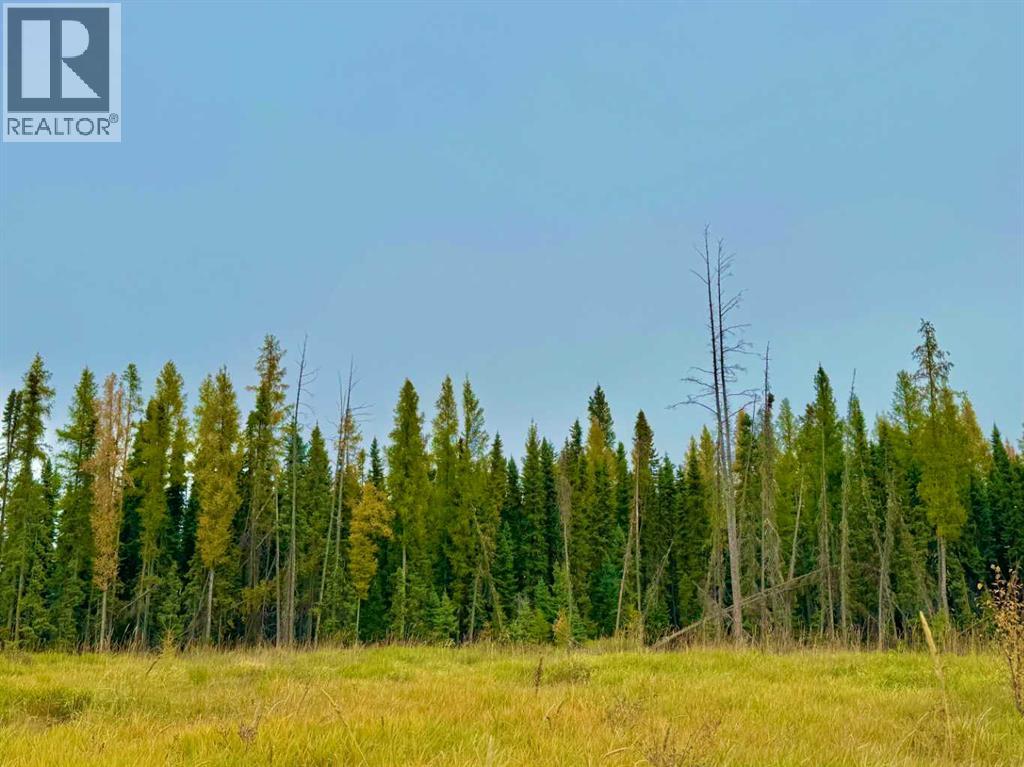 400 Valley View Close, Rural Clearwater County, Alberta  T4T 1A7 - Photo 1 - A2264709