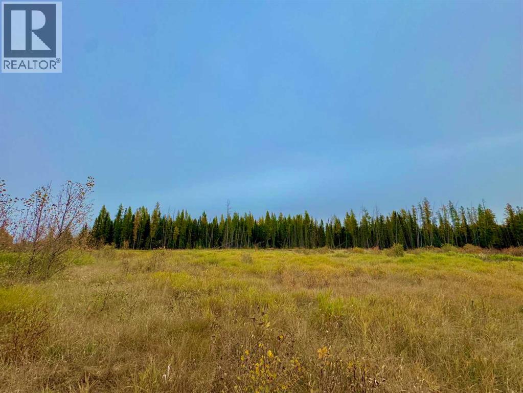 400 Valley View Close, Rural Clearwater County, Alberta  T4T 1A7 - Photo 5 - A2264709