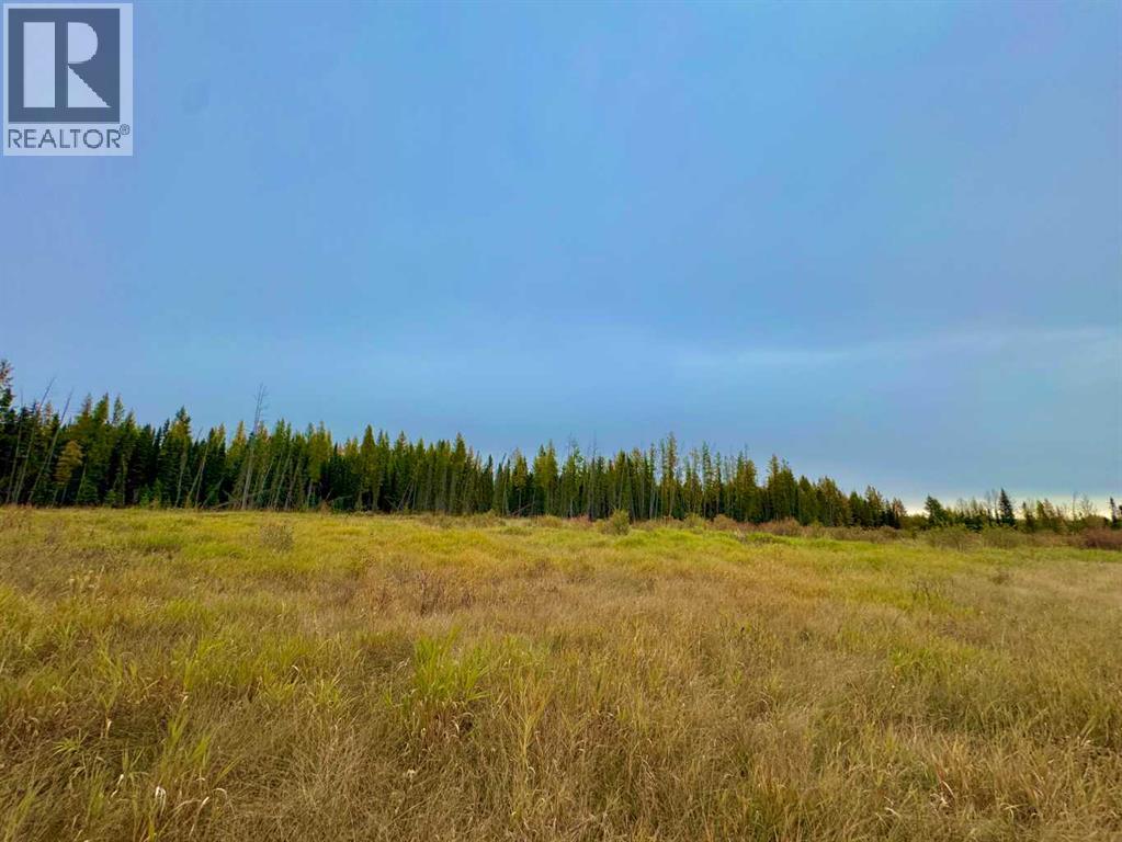 400 Valley View Close, Rural Clearwater County, Alberta  T4T 1A7 - Photo 4 - A2264709