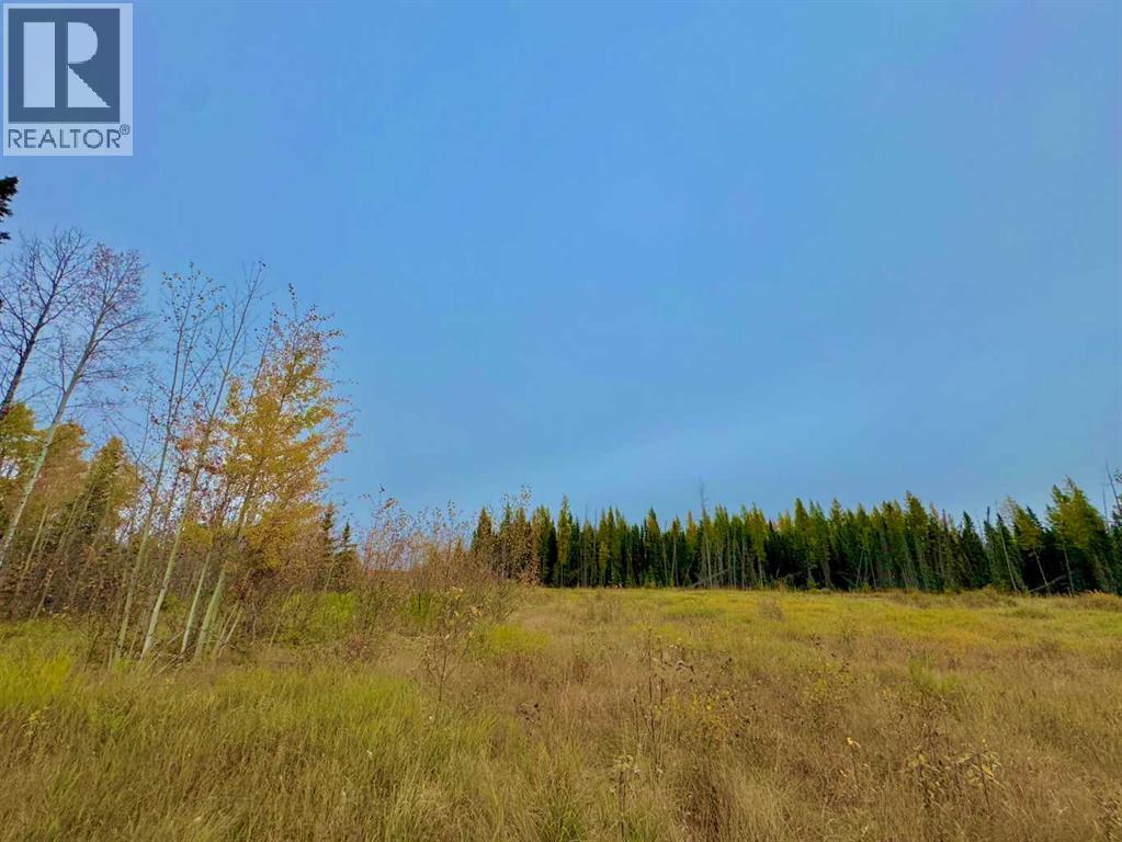 400 Valley View Close, Rural Clearwater County, Alberta  T4T 1A7 - Photo 6 - A2264709
