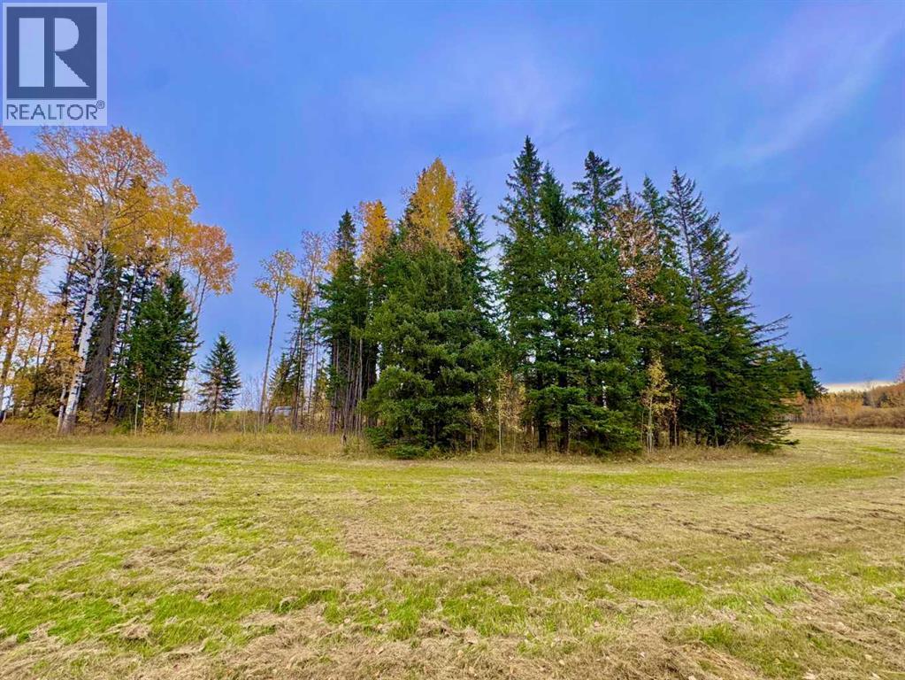 301 Valley View Drive, Rural Clearwater County, Alberta  T4T 1A7 - Photo 3 - A2264713