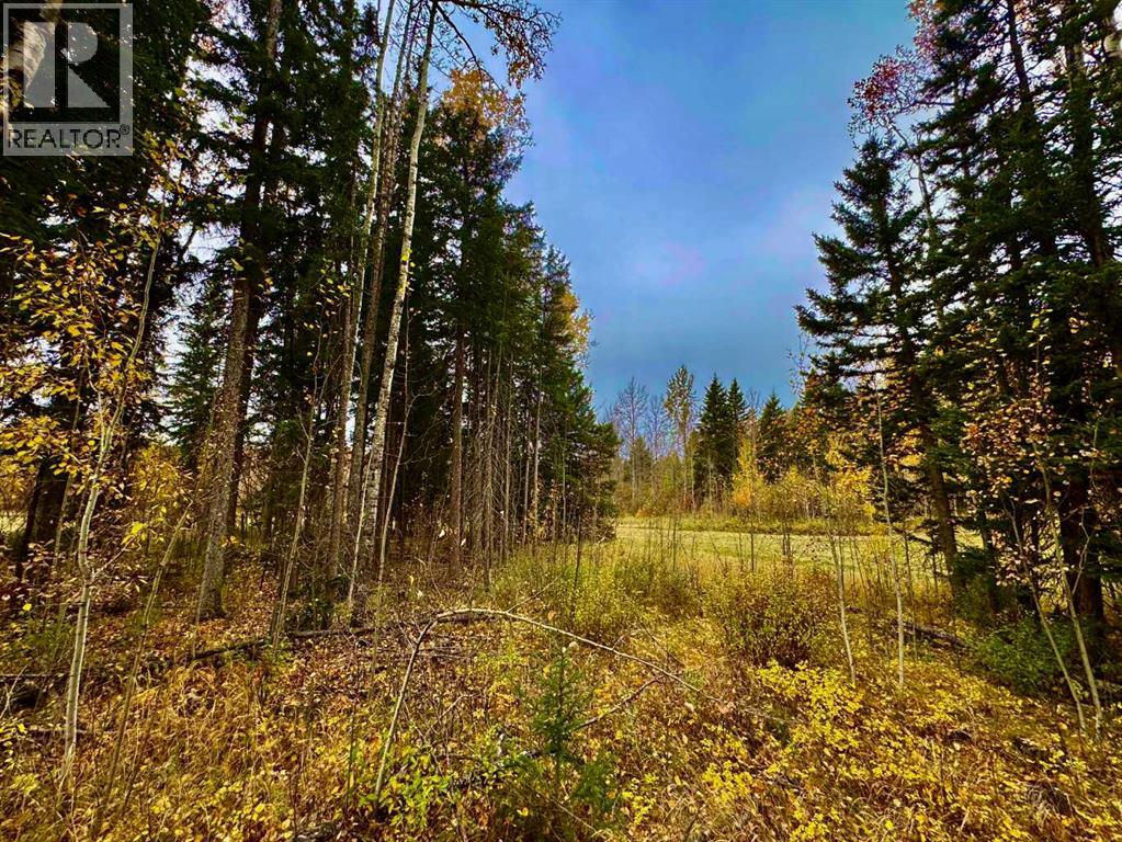 301 Valley View Drive, Rural Clearwater County, Alberta  T4T 1A7 - Photo 1 - A2264713