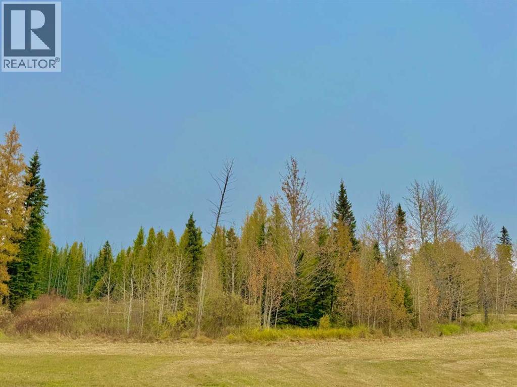 416 Valley View Close, Rural Clearwater County, Alberta  T4T 1A7 - Photo 10 - A2264715