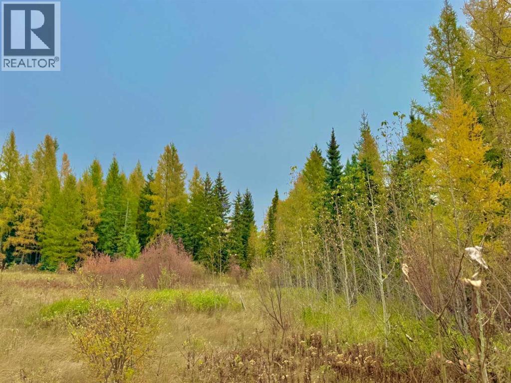 416 Valley View Close, Rural Clearwater County, Alberta  T4T 1A7 - Photo 6 - A2264715