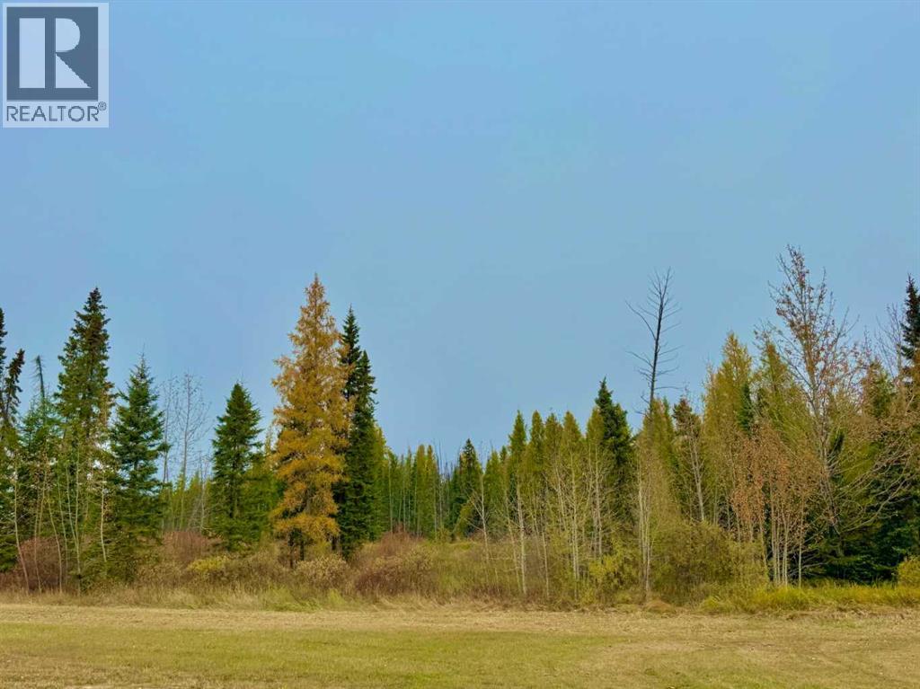 416 Valley View Close, Rural Clearwater County, Alberta  T4T 1A7 - Photo 11 - A2264715