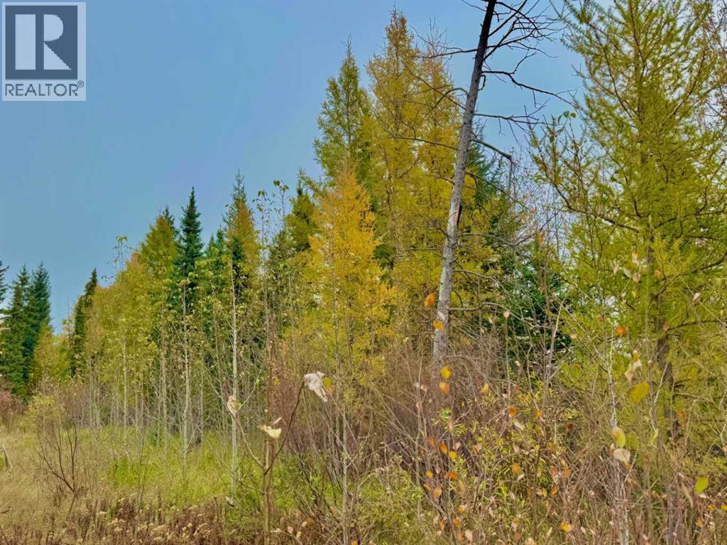 416 Valley View Close, Rural Clearwater County, Alberta  T4T 1A7 - Photo 5 - A2264715