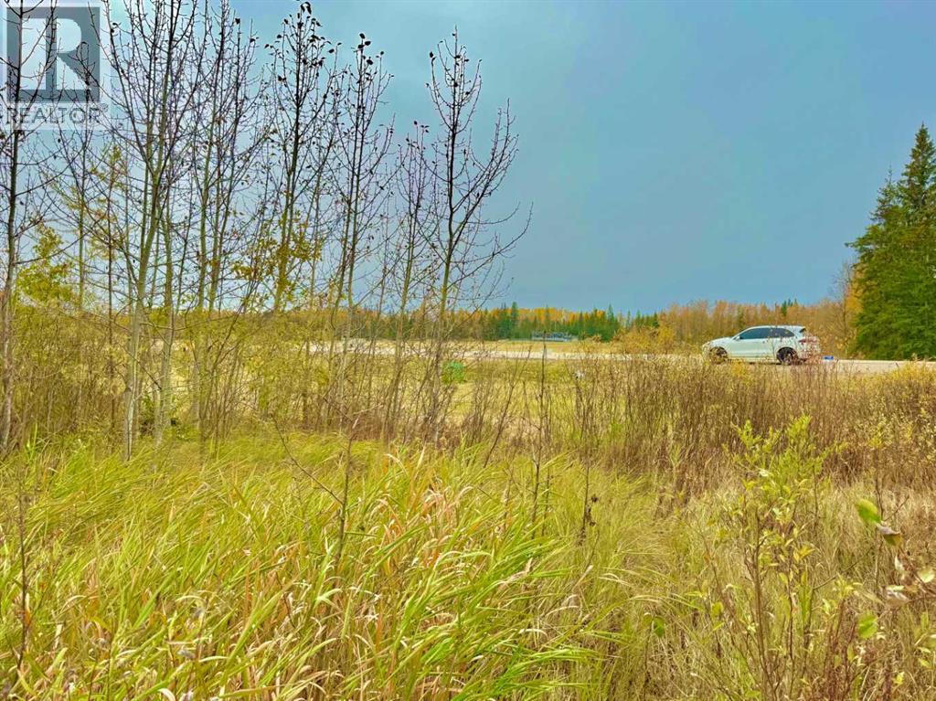 416 Valley View Close, Rural Clearwater County, Alberta  T4T 1A7 - Photo 4 - A2264715