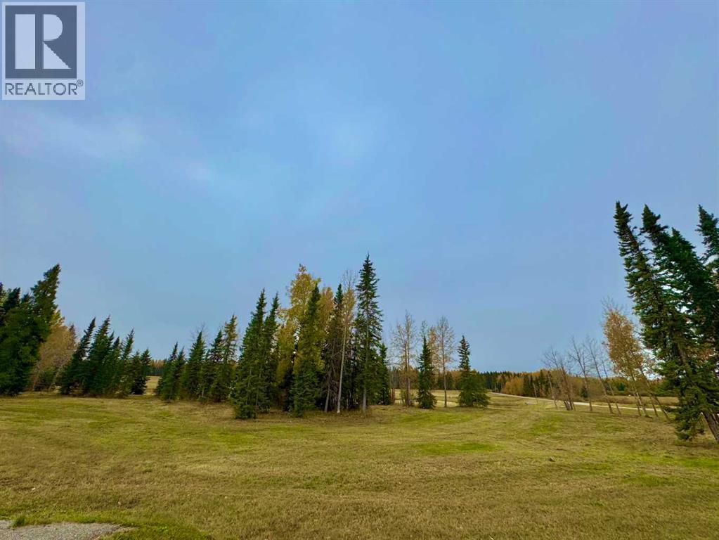 401 Valley View Close, Rural Clearwater County, Alberta  T4T 1A7 - Photo 12 - A2264716