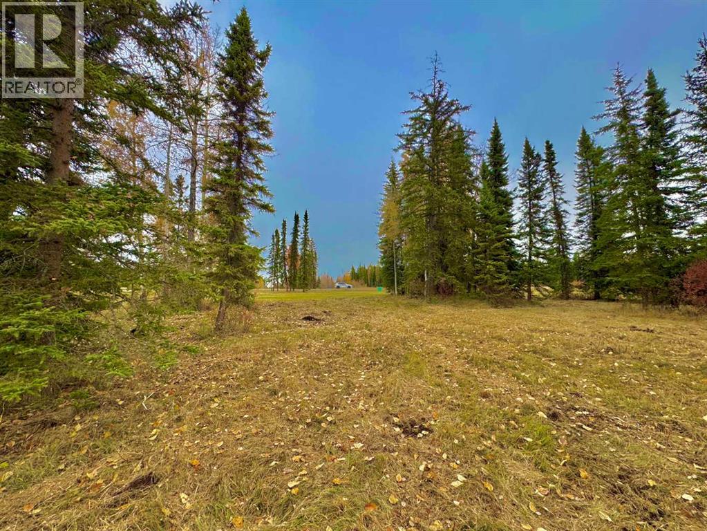401 Valley View Close, Rural Clearwater County, Alberta  T4T 1A7 - Photo 1 - A2264716