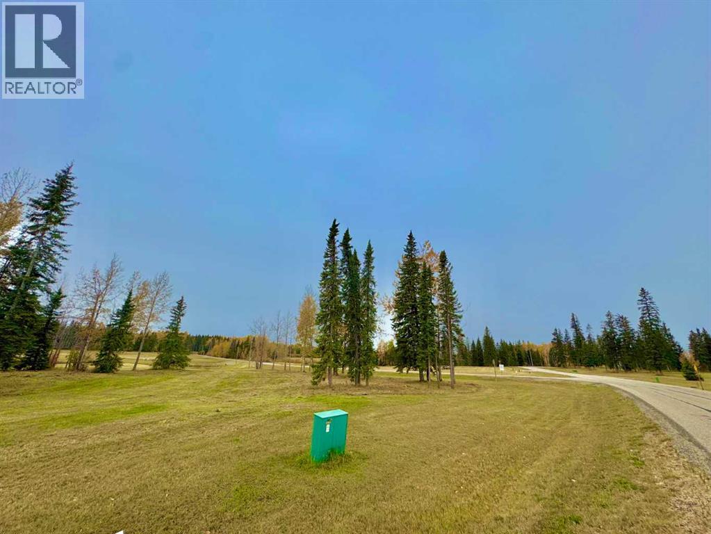 401 Valley View Close, Rural Clearwater County, Alberta  T4T 1A7 - Photo 13 - A2264716