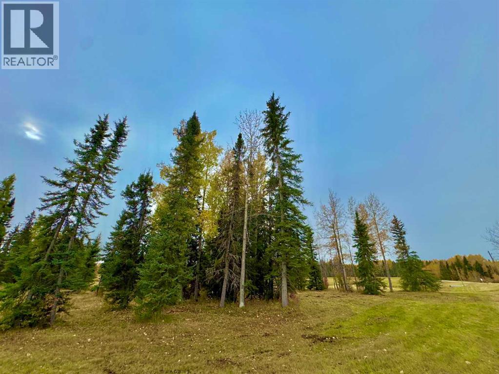 401 Valley View Close, Rural Clearwater County, Alberta  T4T 1A7 - Photo 9 - A2264716