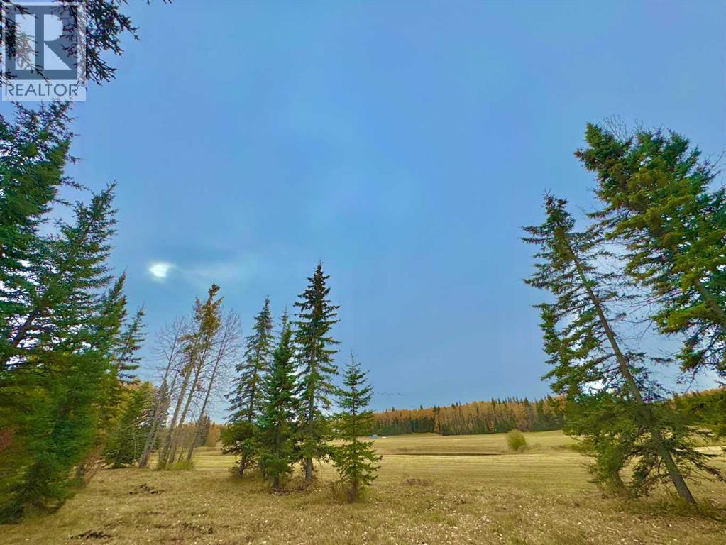 401 Valley View Close, Rural Clearwater County, Alberta  T4T 1A7 - Photo 6 - A2264716