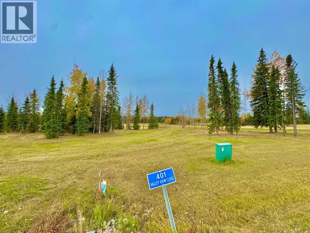 401 Valley View Close, Rural Clearwater County, Alberta  T4T 1A7 - Photo 14 - A2264716