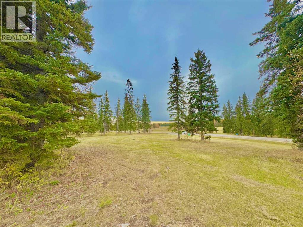 308 Valley View Drive, Rural Clearwater County, Alberta  T4T 1A7 - Photo 3 - A2264718