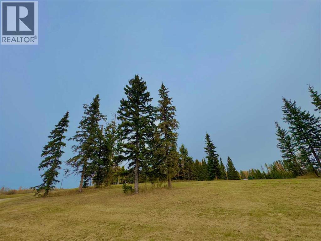 308 Valley View Drive, Rural Clearwater County, Alberta  T4T 1A7 - Photo 6 - A2264718