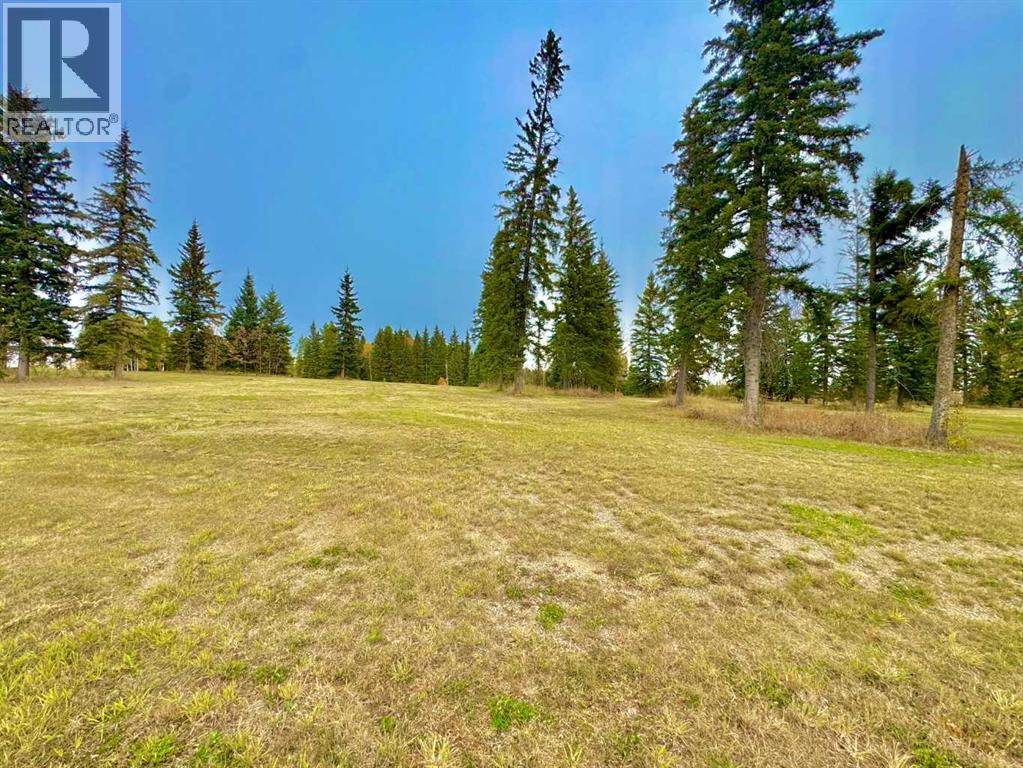 308 Valley View Drive, Rural Clearwater County, Alberta  T4T 1A7 - Photo 8 - A2264718
