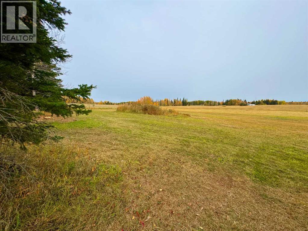 108 Meadow Ponds Drive, Rural Clearwater County, Alberta  T4T 1A7 - Photo 6 - A2264721