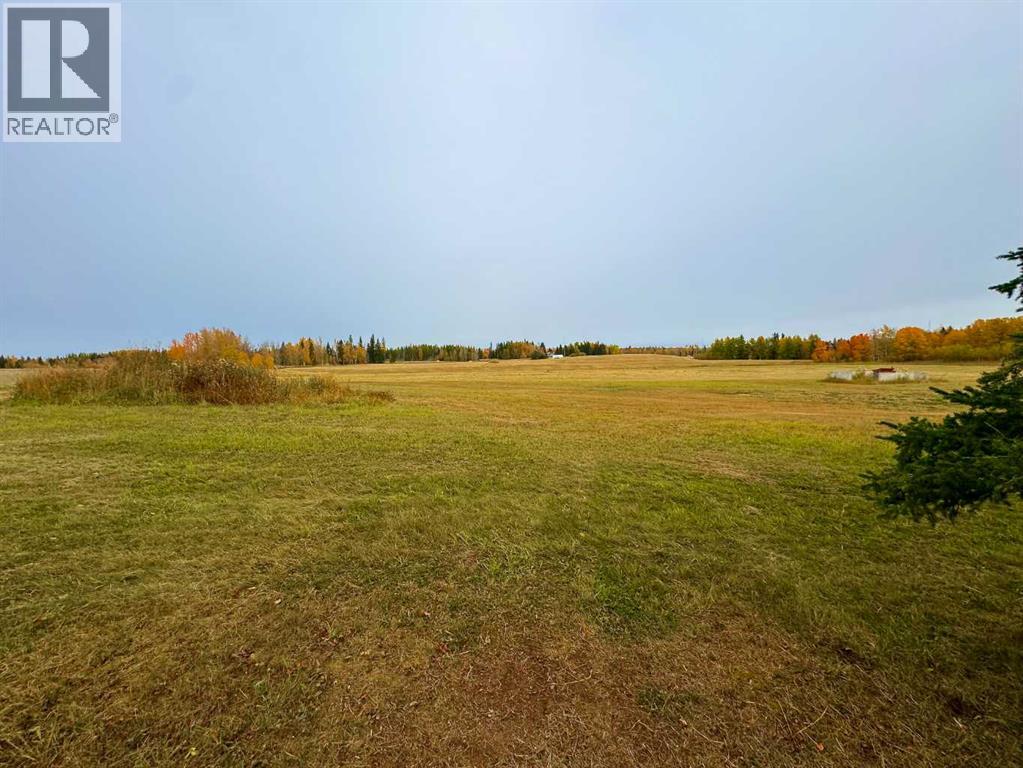 108 Meadow Ponds Drive, Rural Clearwater County, Alberta  T4T 1A7 - Photo 5 - A2264721