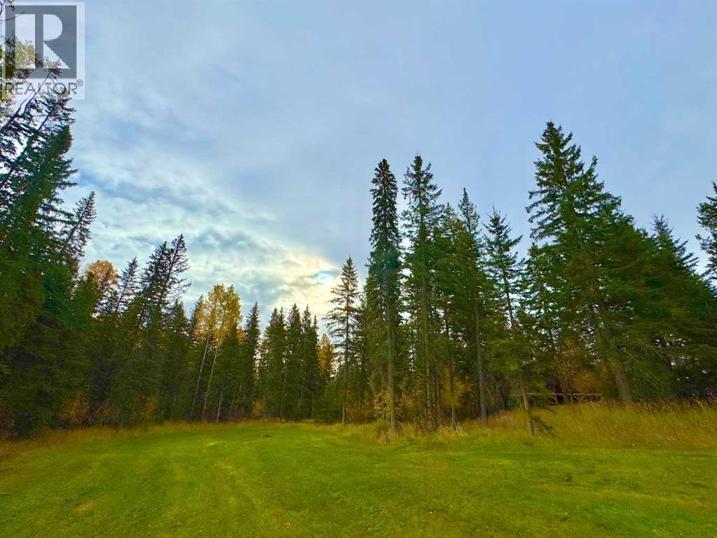 156 Meadow Ponds Drive, Rural Clearwater County, Alberta  T4T 1A7 - Photo 3 - A2264724
