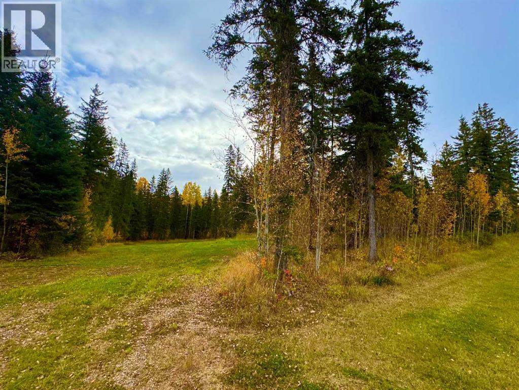 156 Meadow Ponds Drive, Rural Clearwater County, Alberta  T4T 1A7 - Photo 7 - A2264724