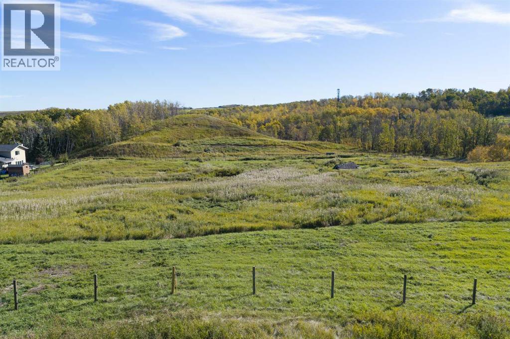 LOT 3, 258014 1119 Drive W