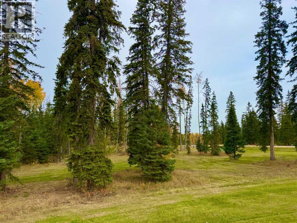 202 Meadow Ponds Drive, Rural Clearwater County, Alberta  T4T 1A7 - Photo 1 - A2264687