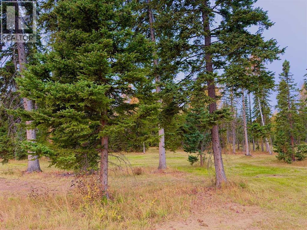 202 Meadow Ponds Drive, Rural Clearwater County, Alberta  T4T 1A7 - Photo 6 - A2264687