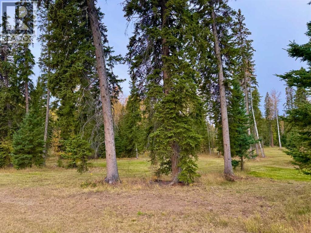 202 Meadow Ponds Drive, Rural Clearwater County, Alberta  T4T 1A7 - Photo 4 - A2264687