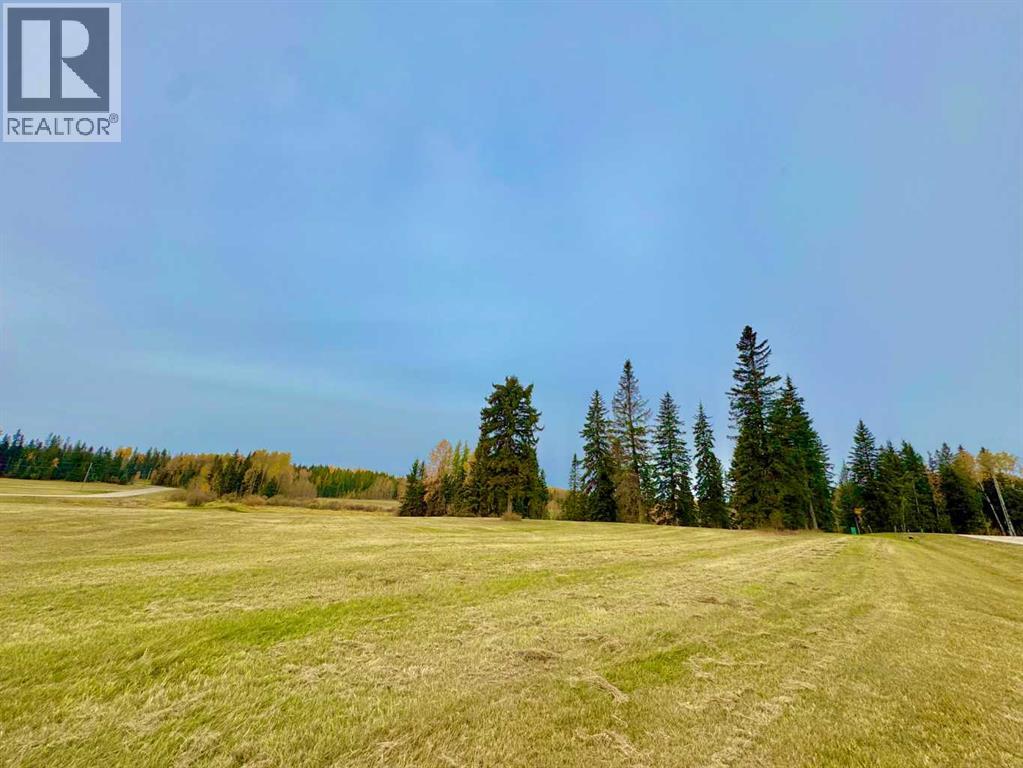 317 Valley View Drive, Rural Clearwater County, Alberta  T4T 1A7 - Photo 6 - A2264690