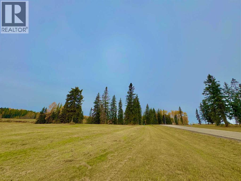 317 Valley View Drive, Rural Clearwater County, Alberta  T4T 1A7 - Photo 5 - A2264690
