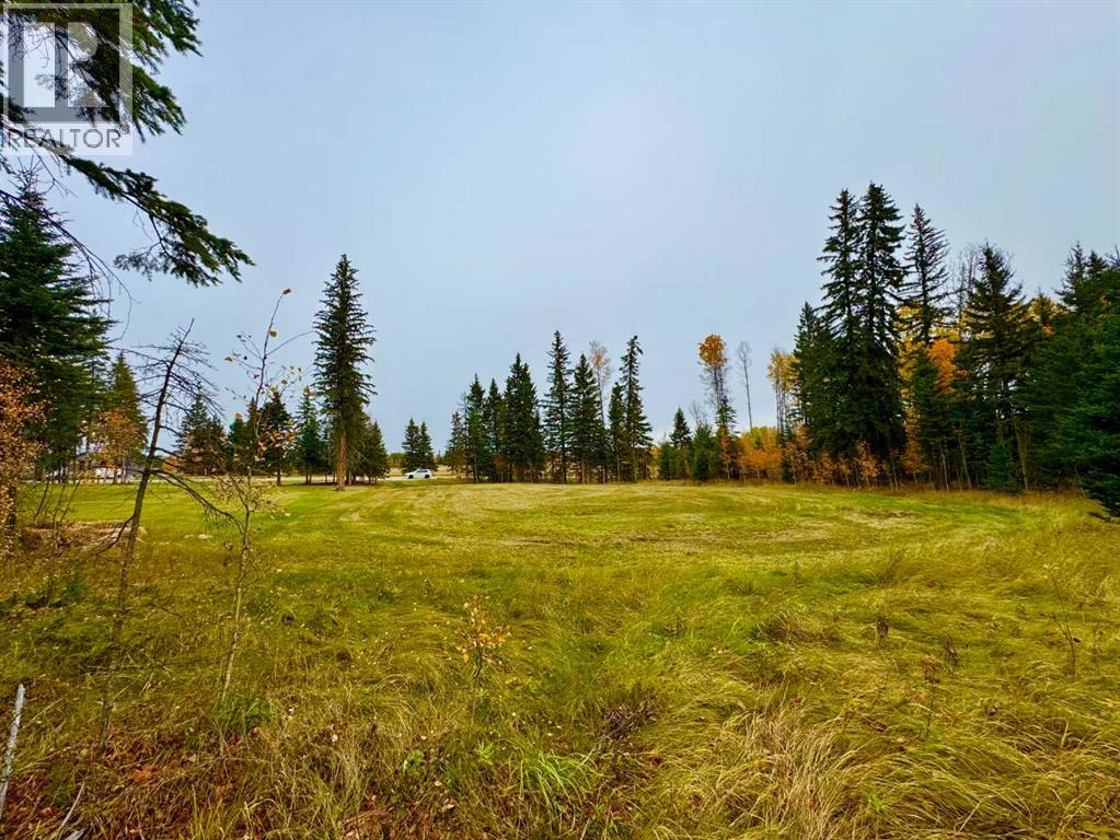 103 Meadow Ponds Drive, Rural Clearwater County, Alberta  T4T 1A7 - Photo 2 - A2264692