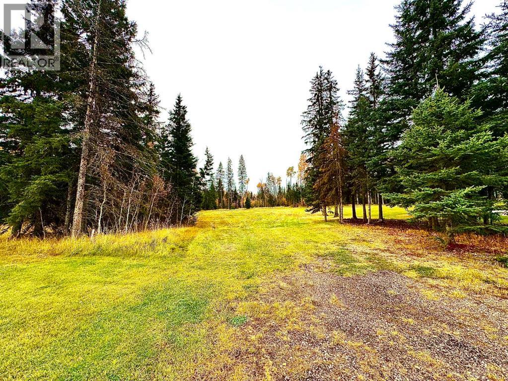 103 Meadow Ponds Drive, Rural Clearwater County, Alberta  T4T 1A7 - Photo 6 - A2264692