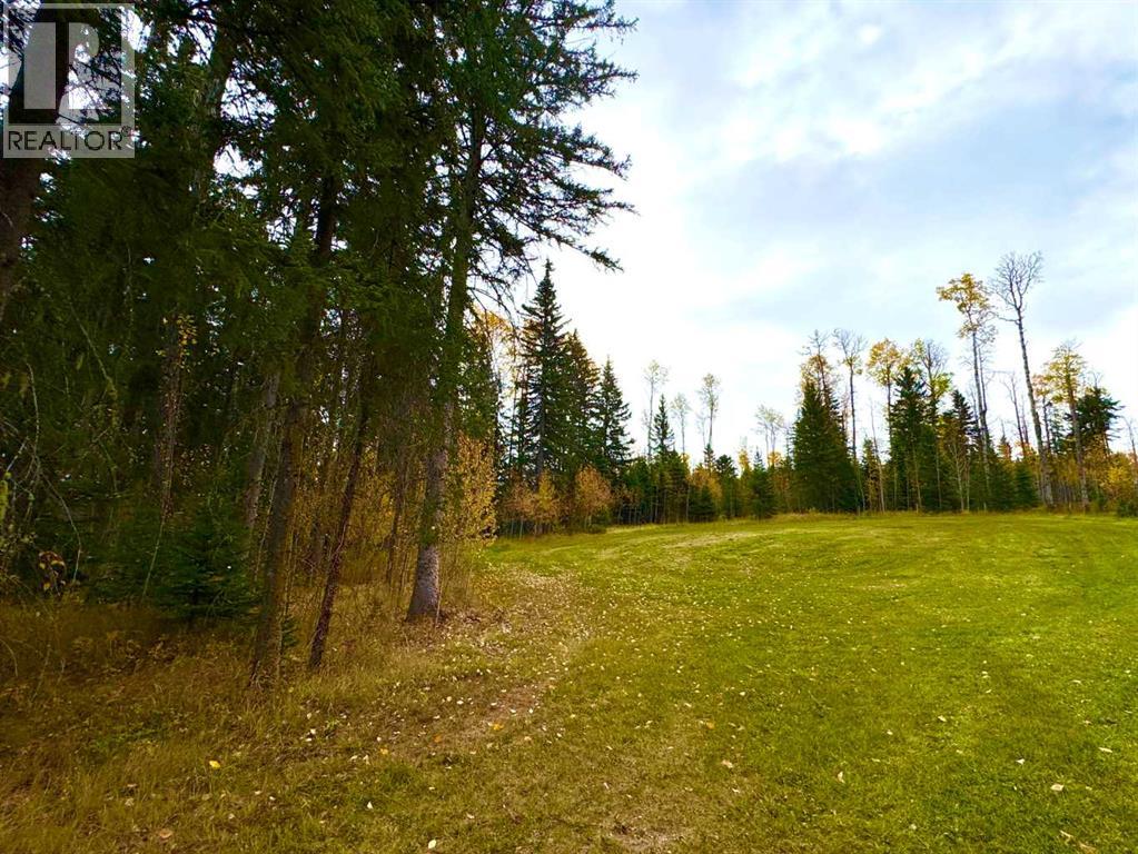 127 Meadow Ponds Drive, Rural Clearwater County, Alberta  T4T 1A7 - Photo 7 - A2264694