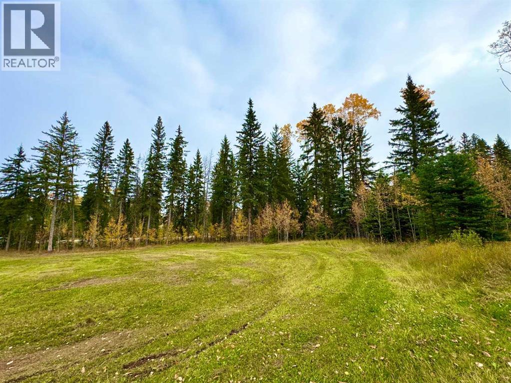 127 Meadow Ponds Drive, Rural Clearwater County, Alberta  T4T 1A7 - Photo 3 - A2264694