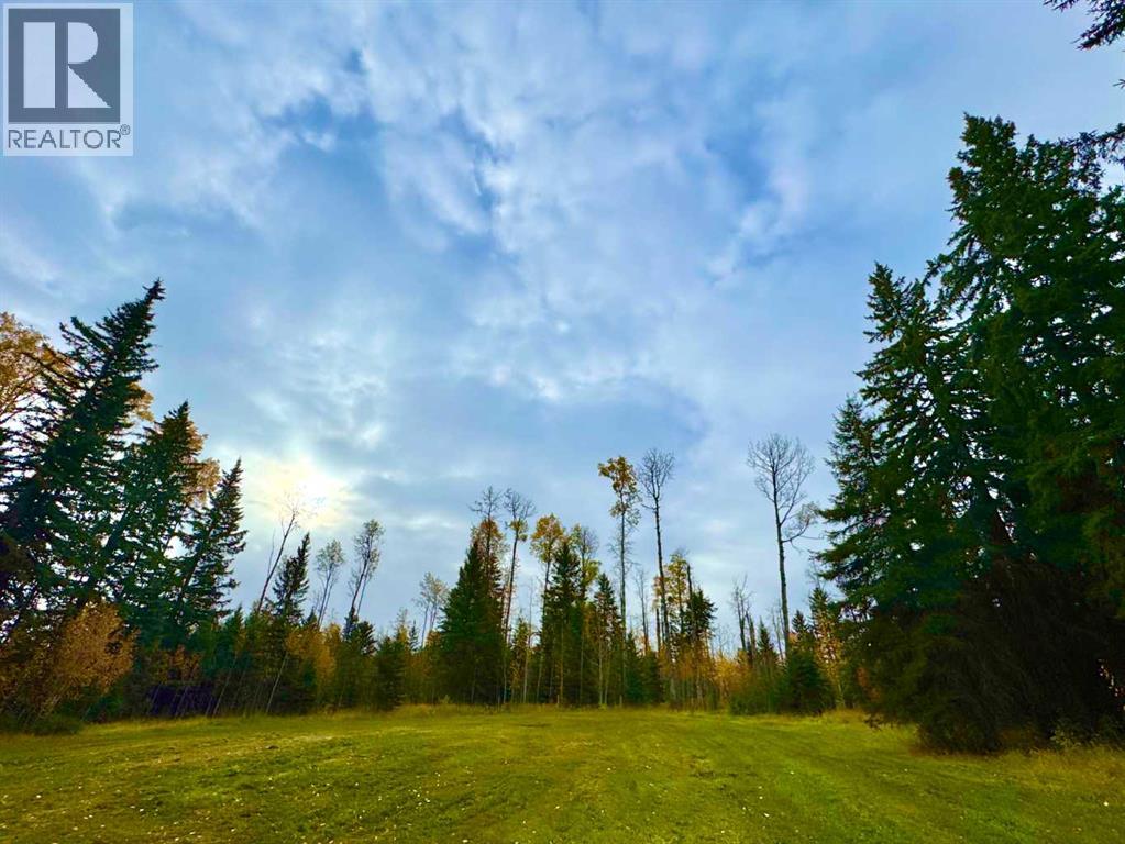 127 Meadow Ponds Drive, Rural Clearwater County, Alberta  T4T 1A7 - Photo 1 - A2264694
