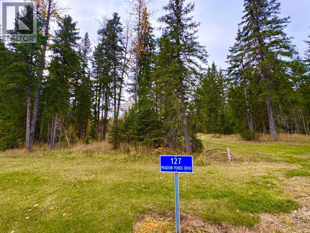 127 Meadow Ponds Drive, Rural Clearwater County, Alberta  T4T 1A7 - Photo 9 - A2264694